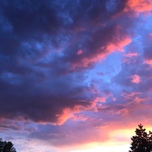 Meet your Posher, Amelia